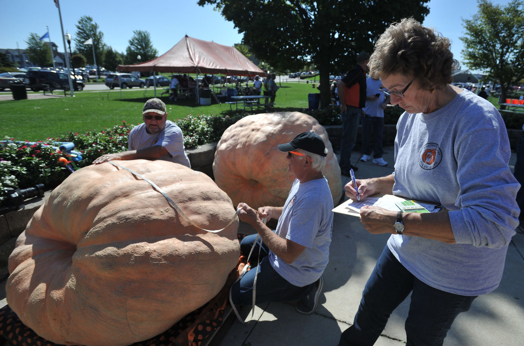 FALL FESTIVAL